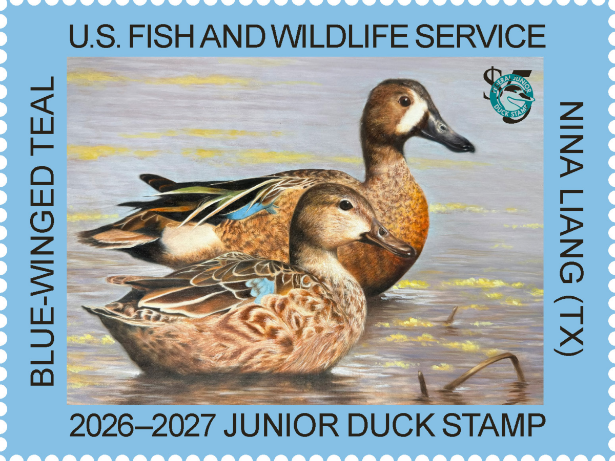 2026-2027-JDS-Single-Stamp-wm-for-web